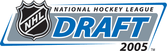 NHL Draft 2005 Primary Logo DIY iron on transfer (heat transfer)